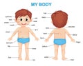 My body. Cute cartoon boy. Body parts poster